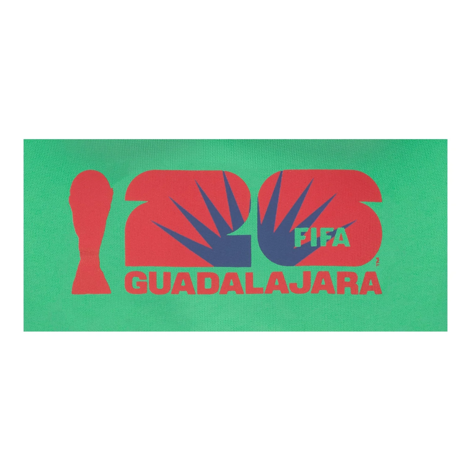 2026 World Cup Guadalajara Hoodie - Youth - Image 3